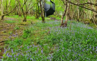 The Tree Hoose :: Studio Hoose